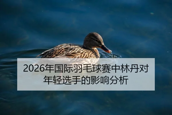 2026年国际羽毛球赛中林丹对年轻选手的影响分析