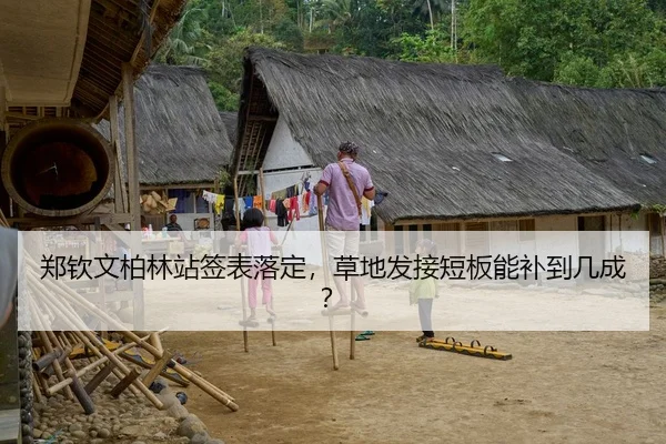 郑钦文柏林站签表落定，草地发接短板能补到几成？