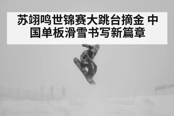 苏翊鸣世锦赛大跳台摘金 中国单板滑雪书写新篇章